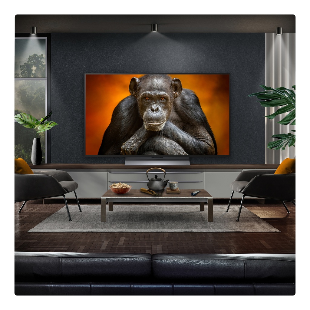 [OLED48G56LS.AEK] LG OLED48G56LS.AEK 48" 4K OLED Smart TV