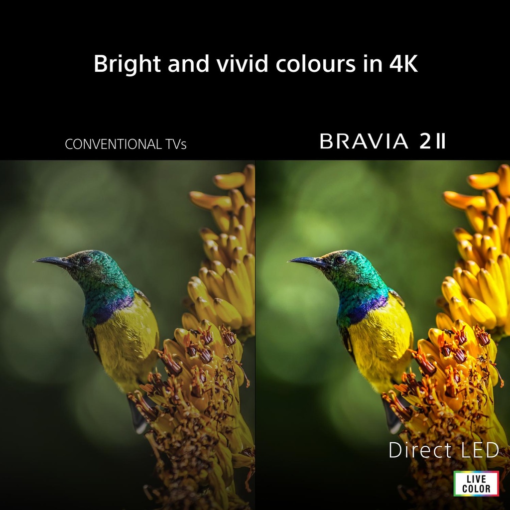 Sony K50S25M2PB.UKA 50" 4K BRAVIA 2 II Direct LED Google TV