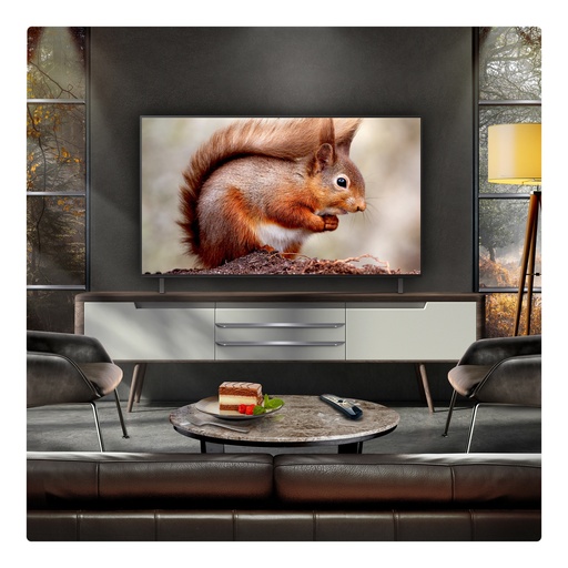 [OLED55B56LA.AEK] LG OLED55B56LA.AEK 55" 4K OLED Smart TV